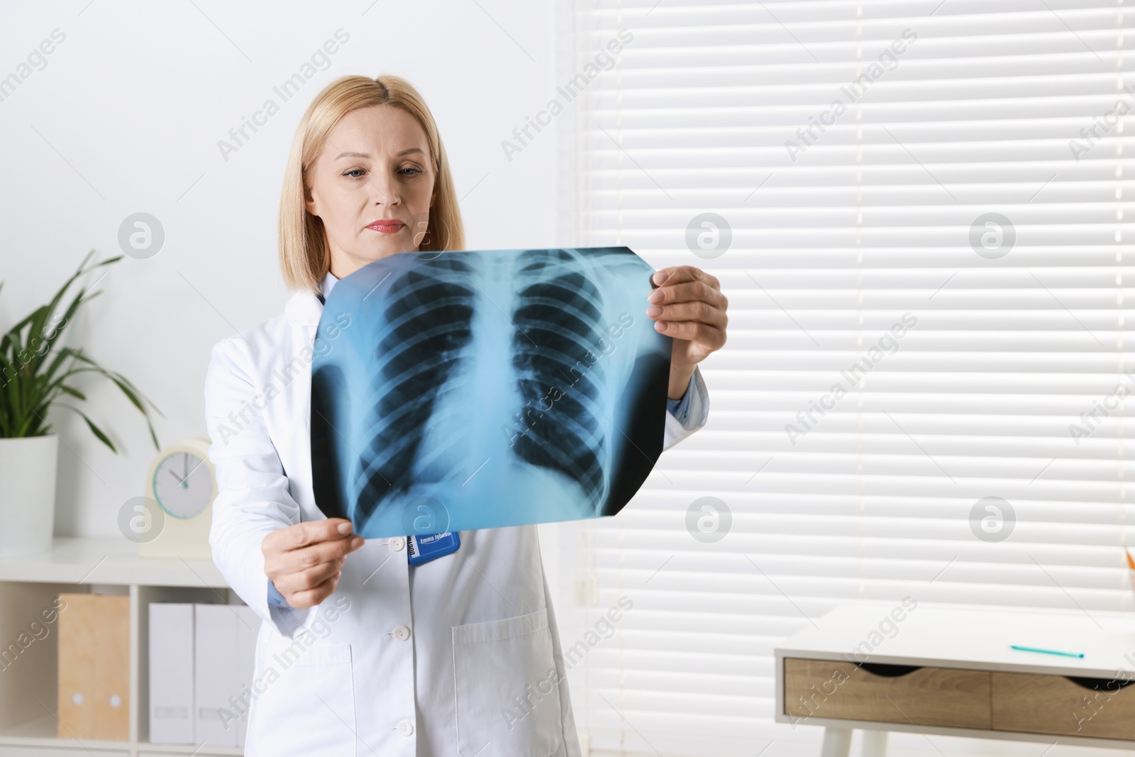 Photo of Doctor examining chest x-ray in clinic, space for text