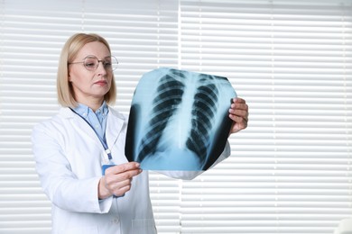 Doctor examining chest x-ray in clinic, space for text