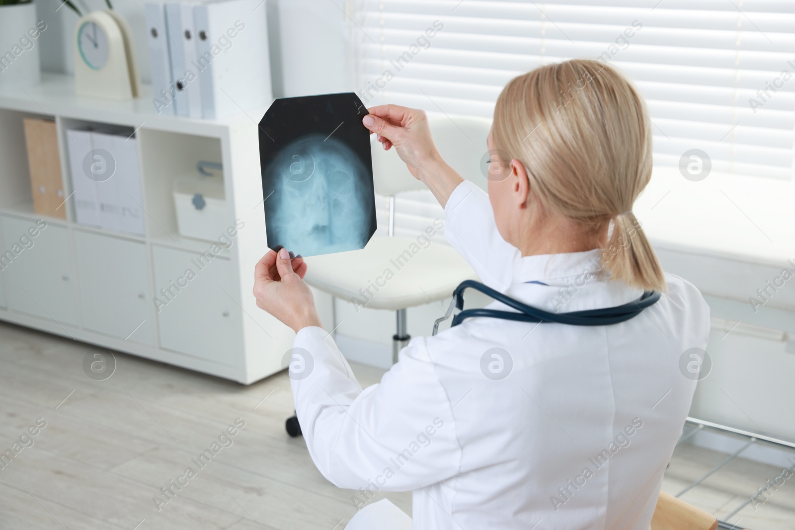 Photo of Doctor examining x-ray image of paranasal sinuses in clinic, space for text