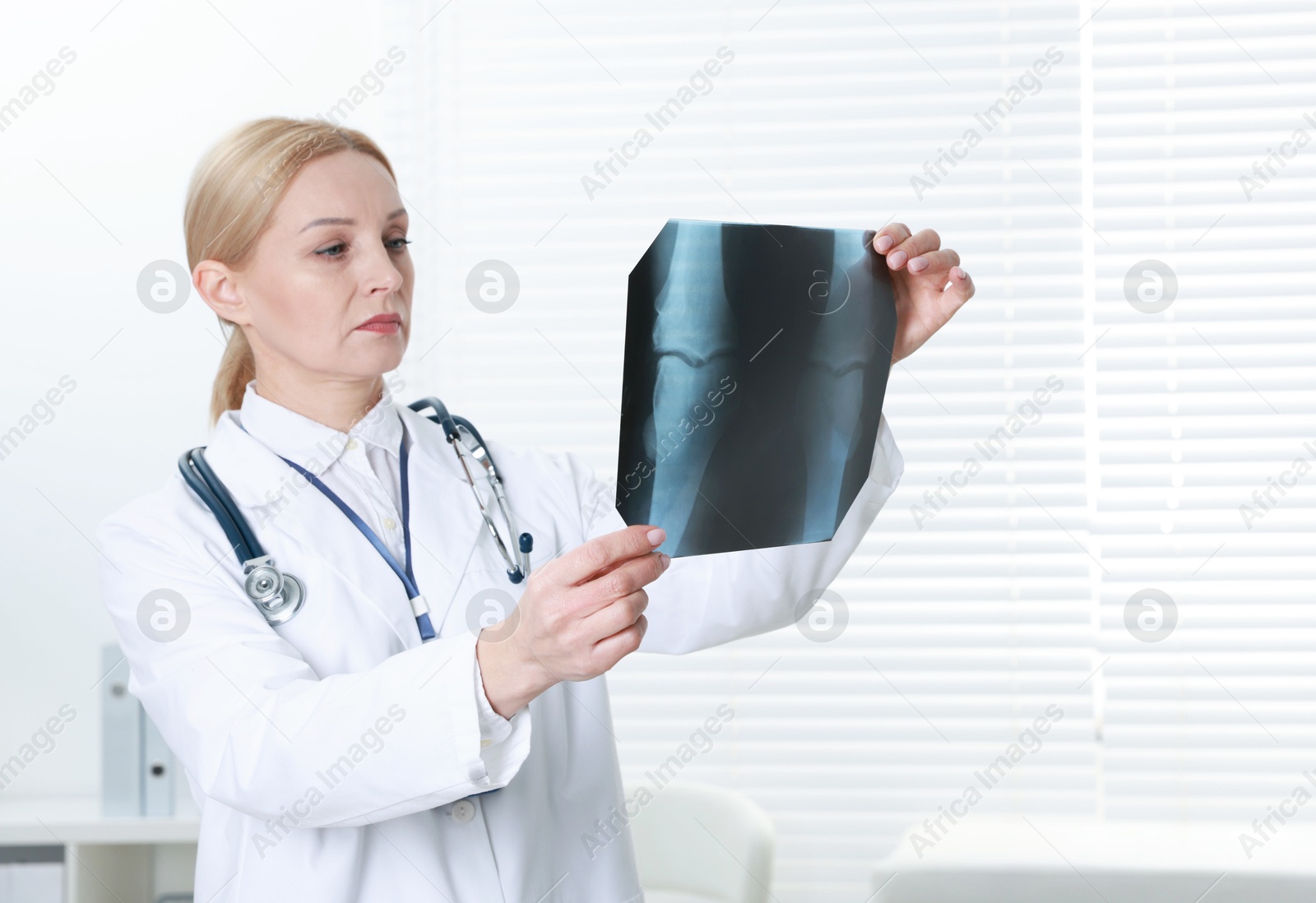 Photo of Doctor examining x-ray image of knee in clinic, space for text