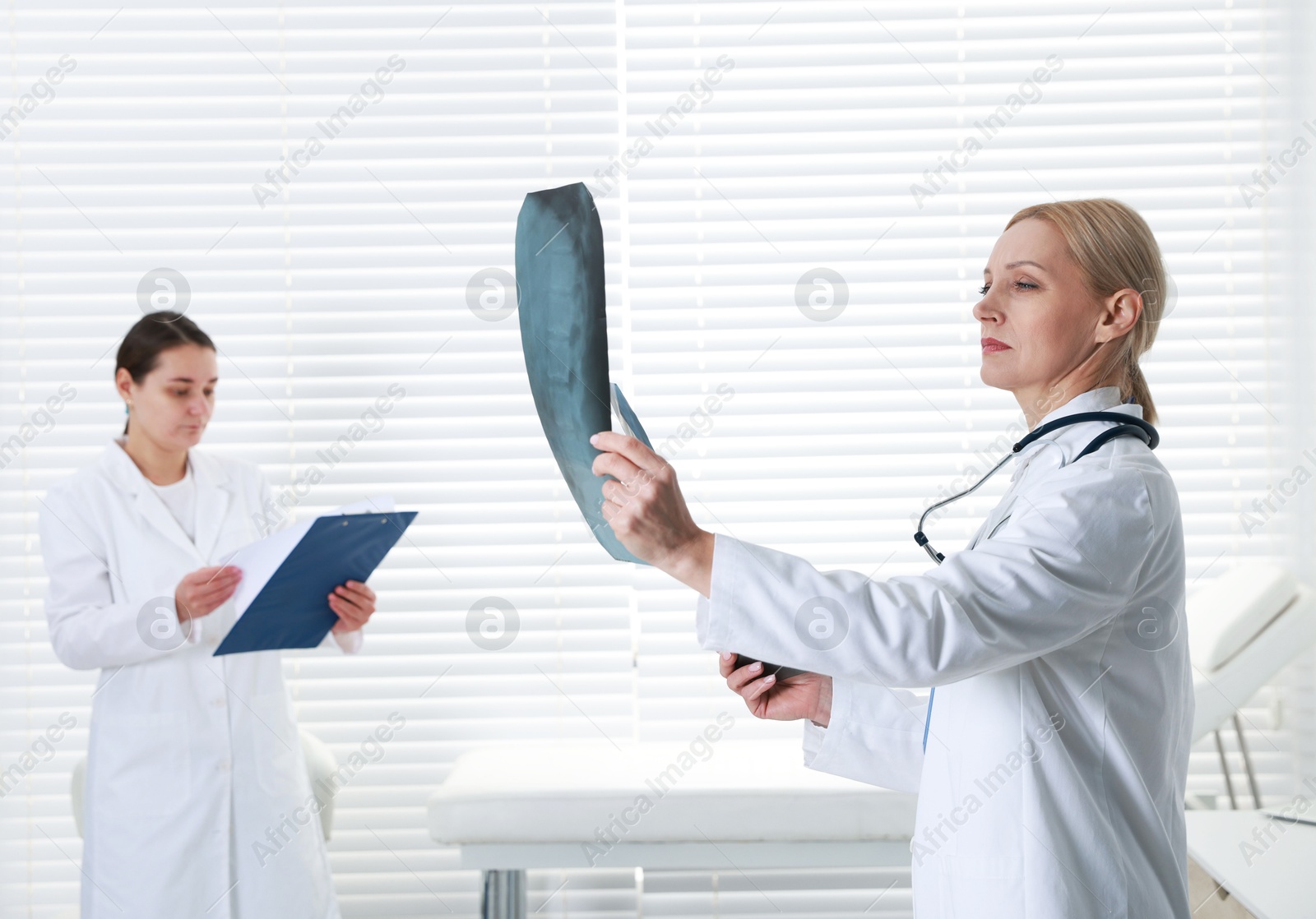 Photo of Doctor examining x-ray image of backbone in clinic. Medical assistant with clipboard indoors