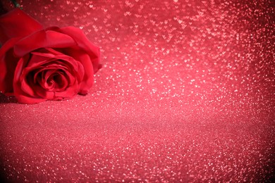 Photo of Romantic decor. Beautiful rose on shiny pink glitter and heart shaped lights, space for text. Bokeh effect