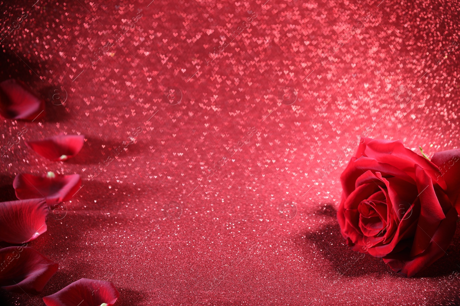 Photo of Romantic decor. Beautiful rose on shiny pink glitter and heart shaped lights, space for text. Bokeh effect