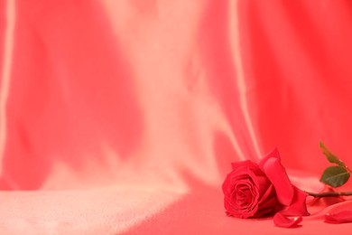 Photo of Romantic decor. Beautiful rose and petals on crumpled red silk fabric, space for text