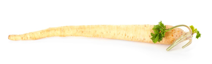 Photo of One fresh parsnip isolated on white. Root vegetable