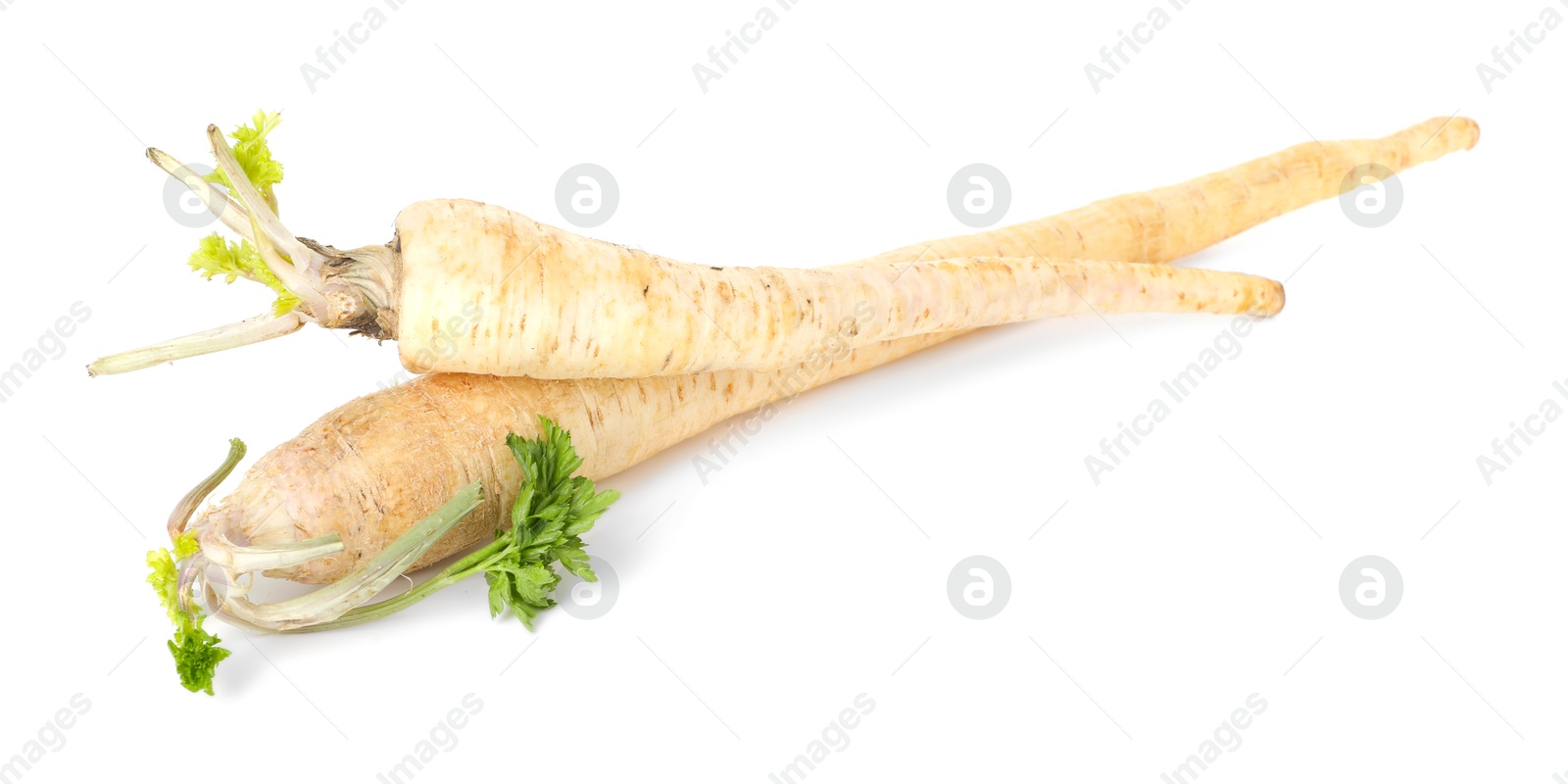 Photo of Fresh parsnips isolated on white. Root vegetable