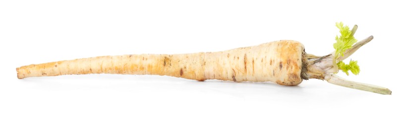 One fresh parsnip isolated on white. Root vegetable