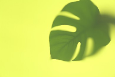 Photo of Shadow of monstera leaf on yellow background