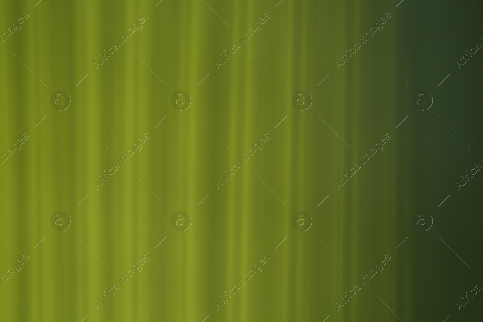 Photo of Light and shadows falling on light green background