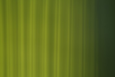 Photo of Light and shadows falling on light green background