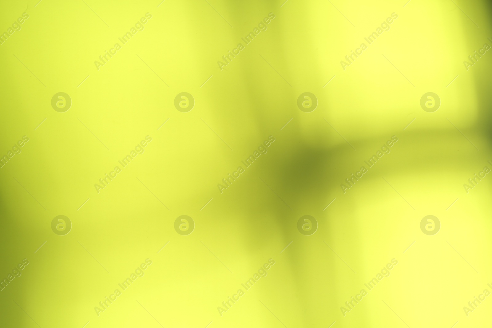 Photo of Light and shadows falling on light green background