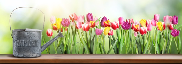 Image of Gardening. Watering can on wooden surface near flower bed with tulips under sunlight. Banner design