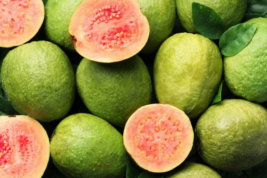 Fresh cut and whole guava fruits with water drops as background, top view