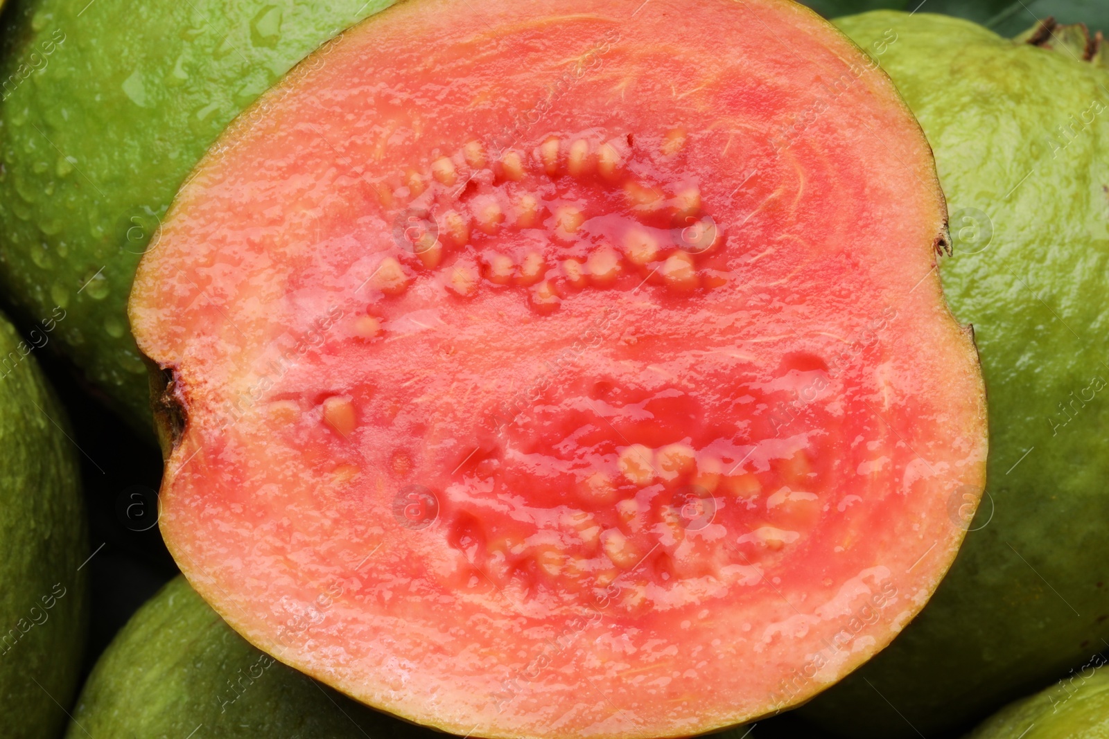 Photo of Fresh cut and whole guava fruits with water drops as background, closeup