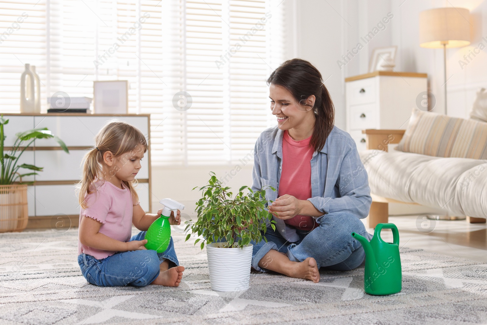 Photo of Cute little girl helping her mother watering houseplant at home