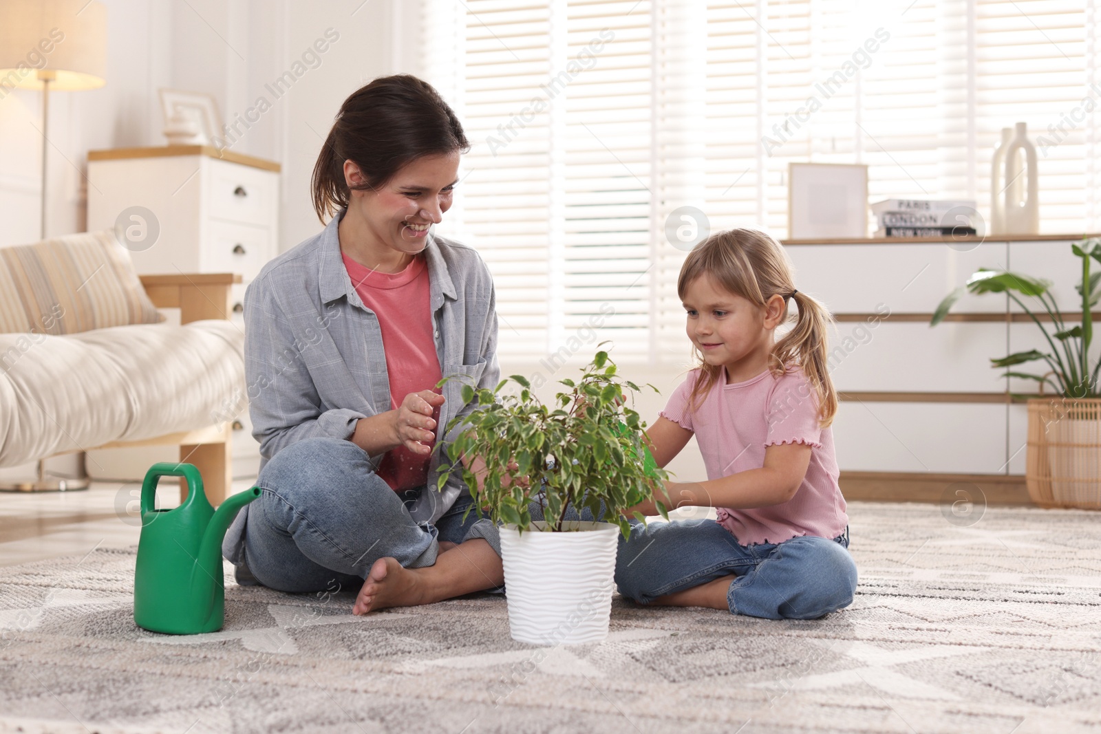 Photo of Cute little girl helping her mother watering houseplant at home