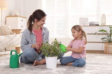 Photo of Cute little girl helping her mother watering houseplant at home