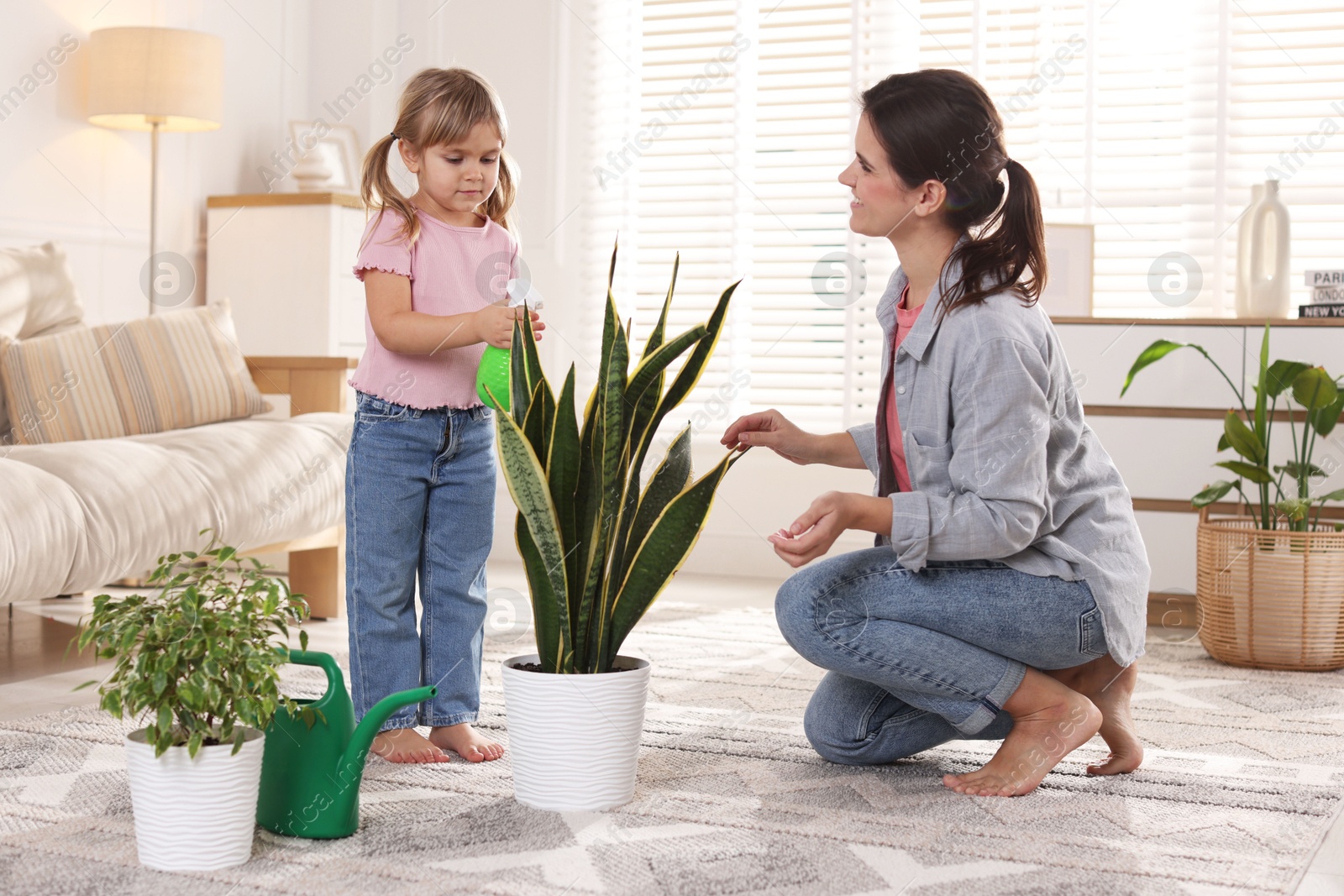 Photo of Cute little girl helping her mother watering houseplant at home