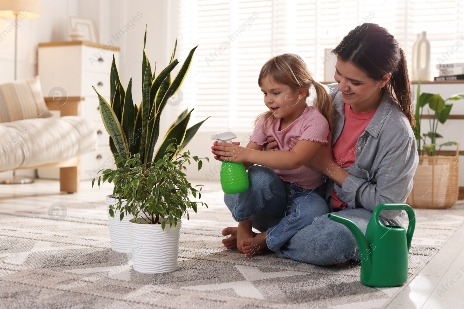 Photo of Cute little girl helping her mother watering houseplant at home