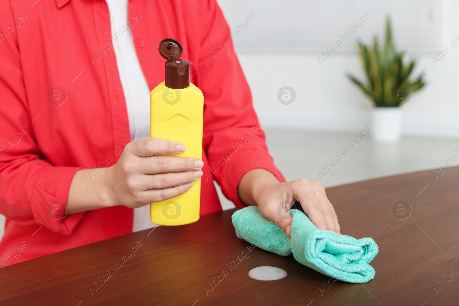 Photo of Woman polishing wooden table at home, closeup