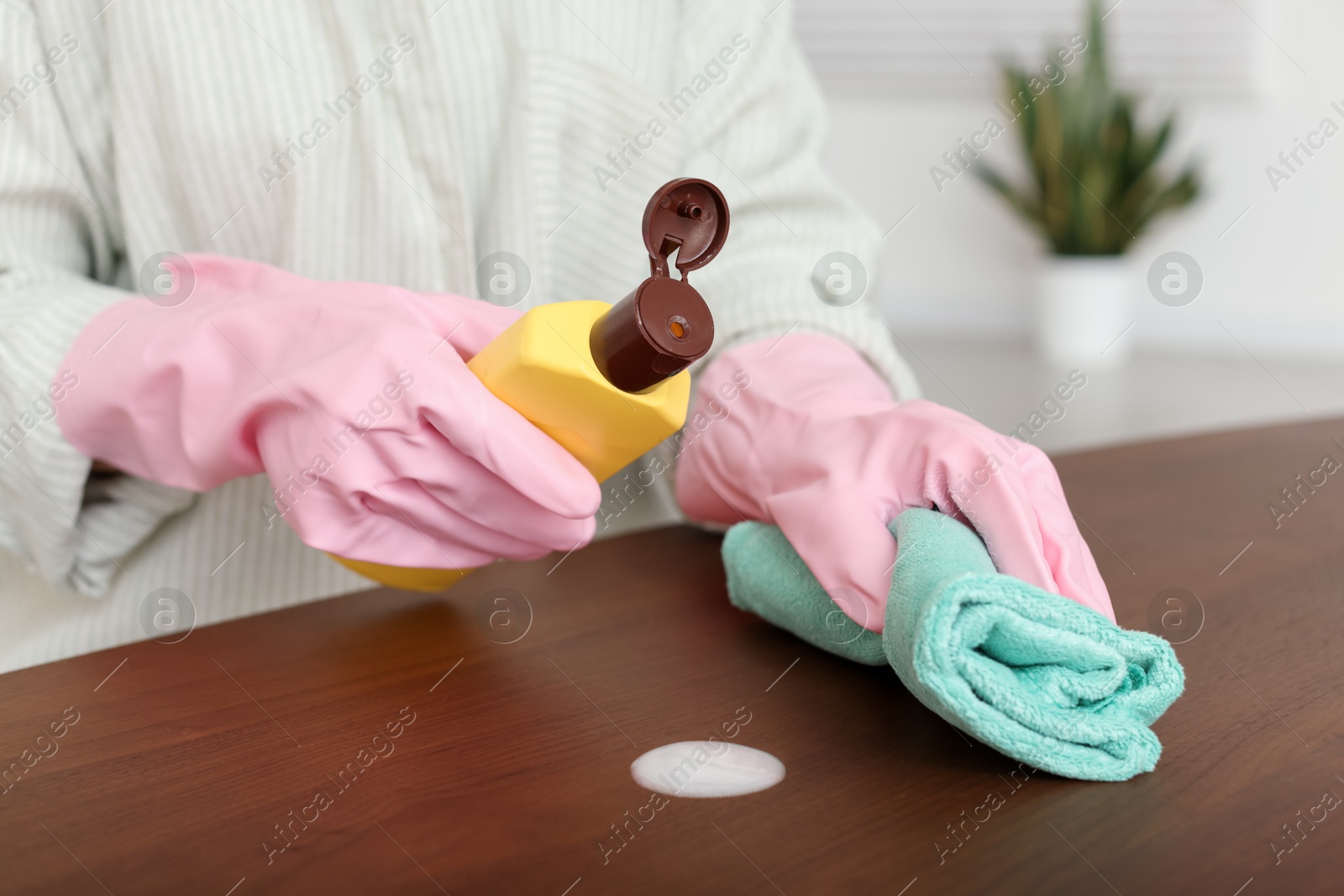 Photo of Woman polishing wooden table at home, closeup