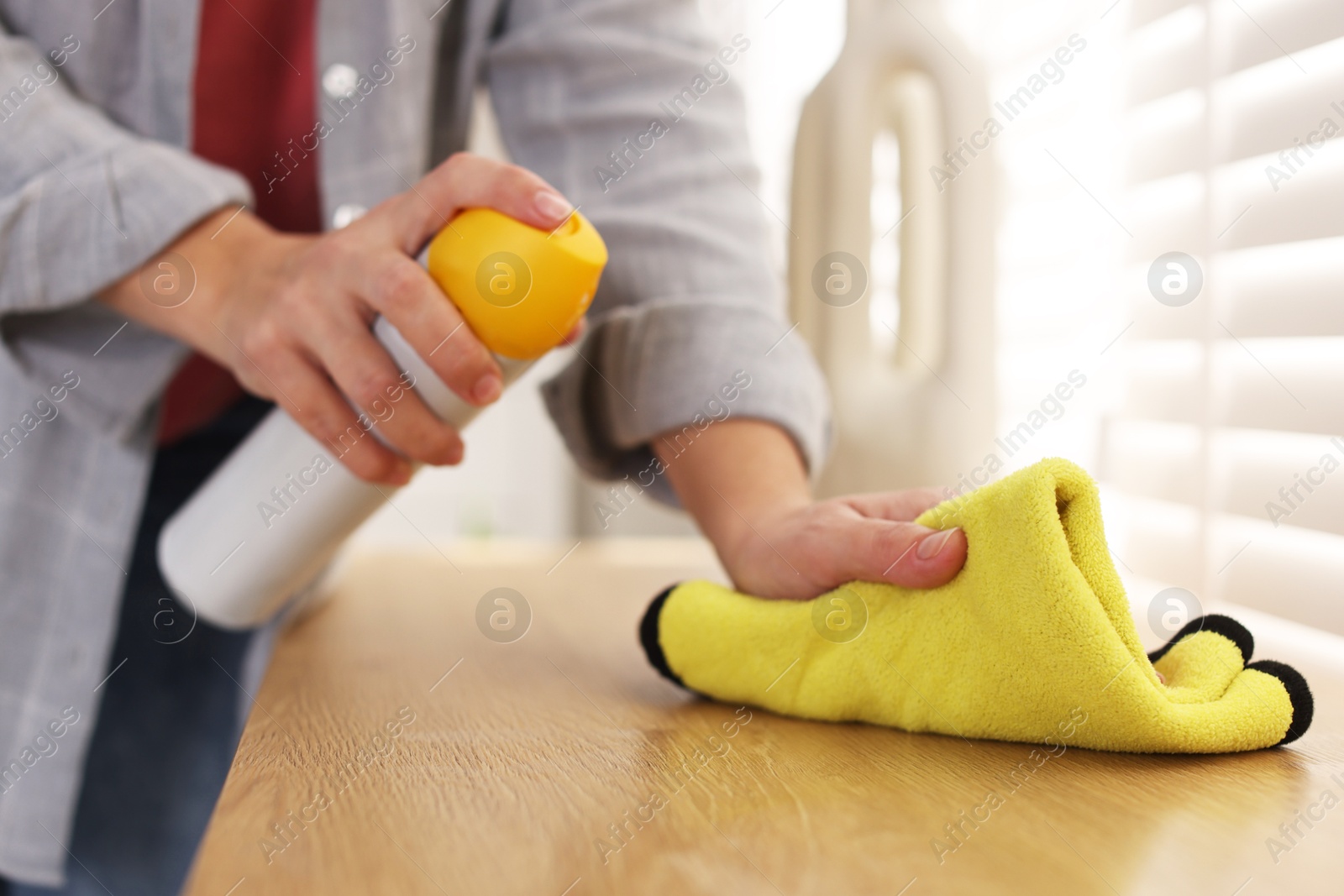 Photo of Woman using cleaning product while polishing wooden table with rag indoors, closeup