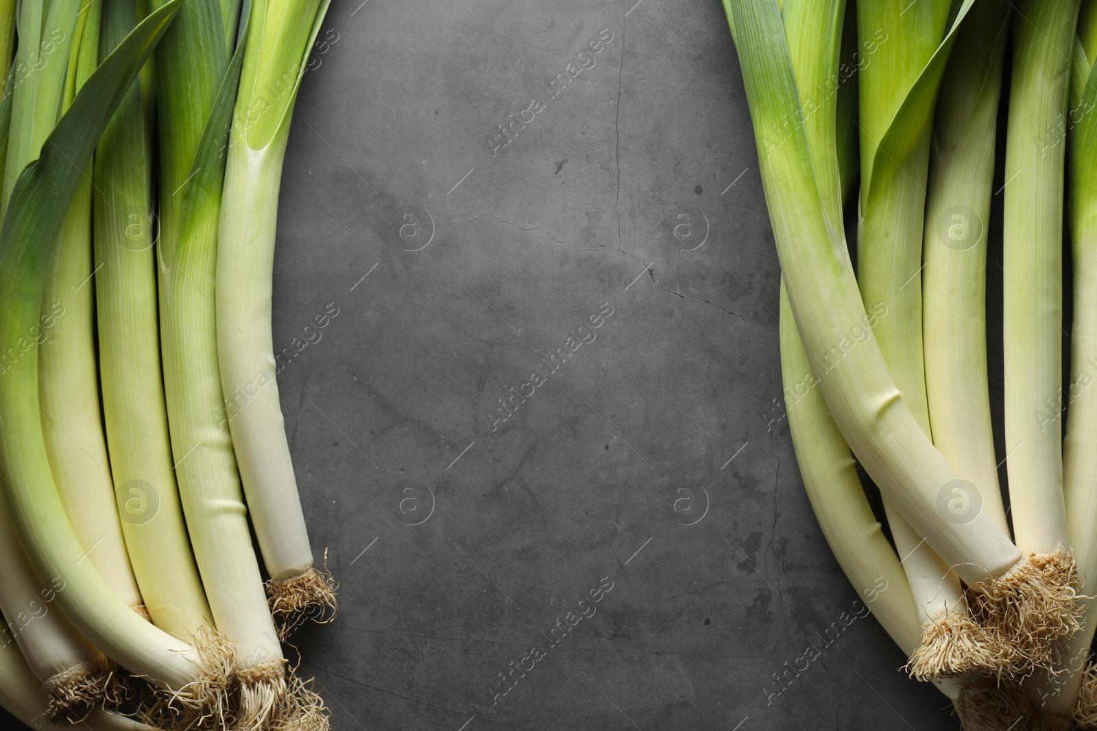 Photo of Fresh green leeks on grey table, top view. Space for text