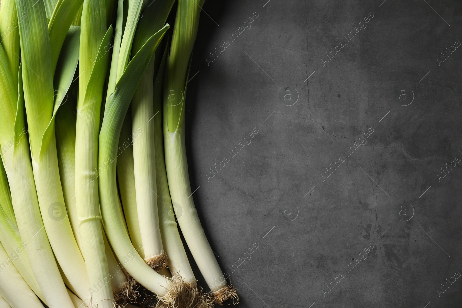 Photo of Fresh green leeks on grey table, top view. Space for text