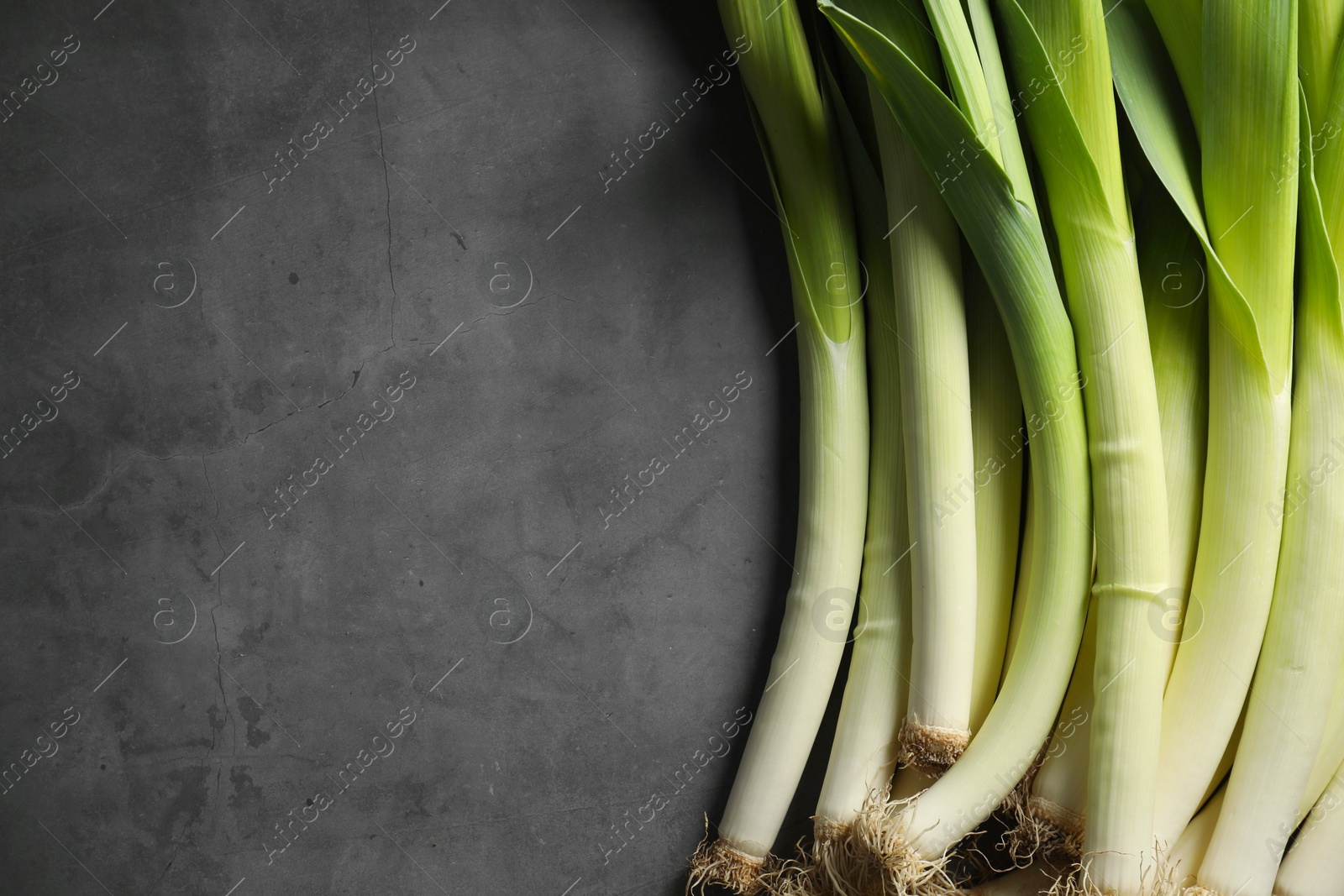 Photo of Fresh green leeks on grey table, top view. Space for text