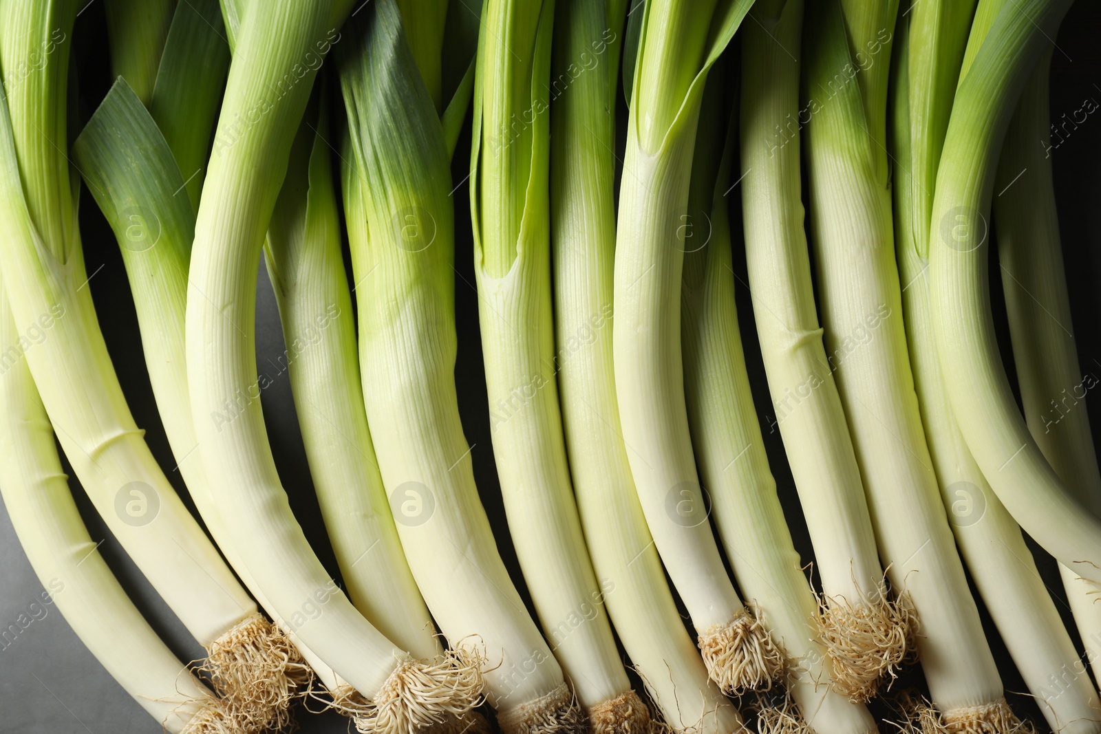 Photo of Fresh green leeks on grey table, top view