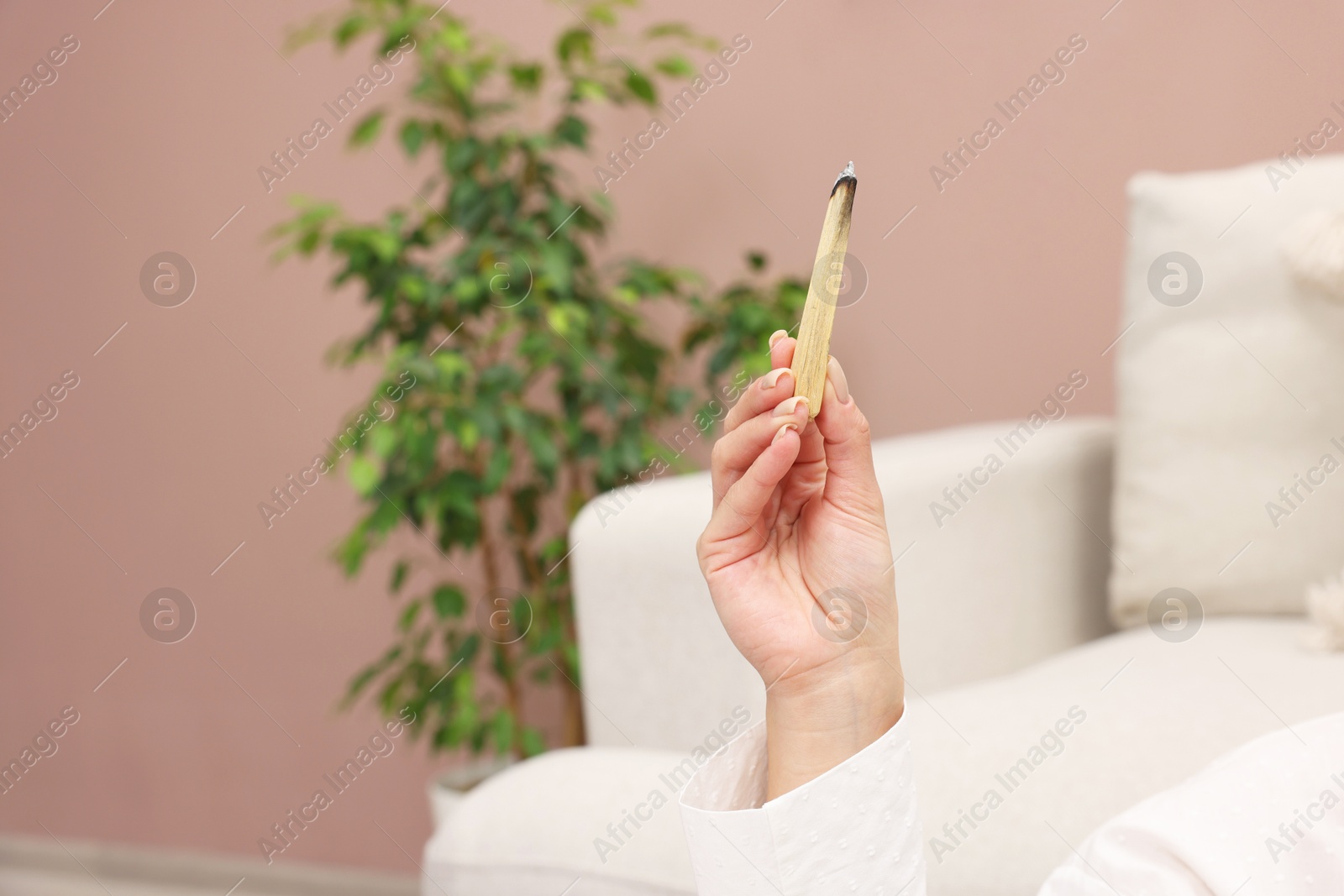 Photo of Woman with burnt palo santo stick at home, closeup. Space for text