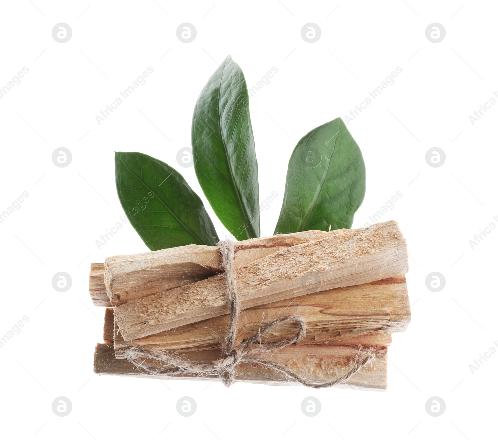 Photo of Palo santo sticks and green leaves on white background