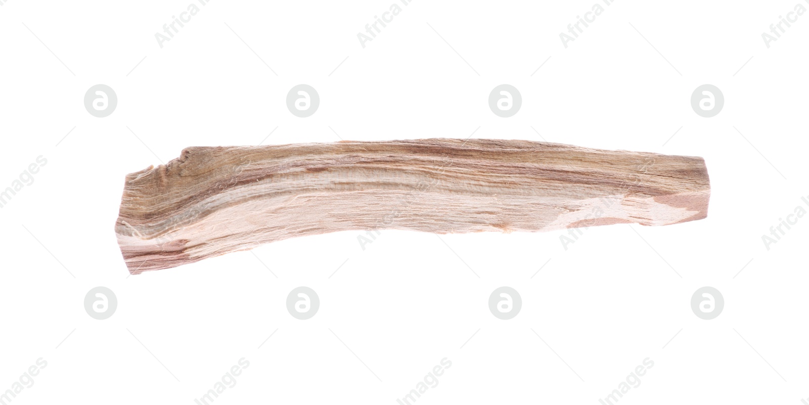 Photo of One palo santo stick on white background