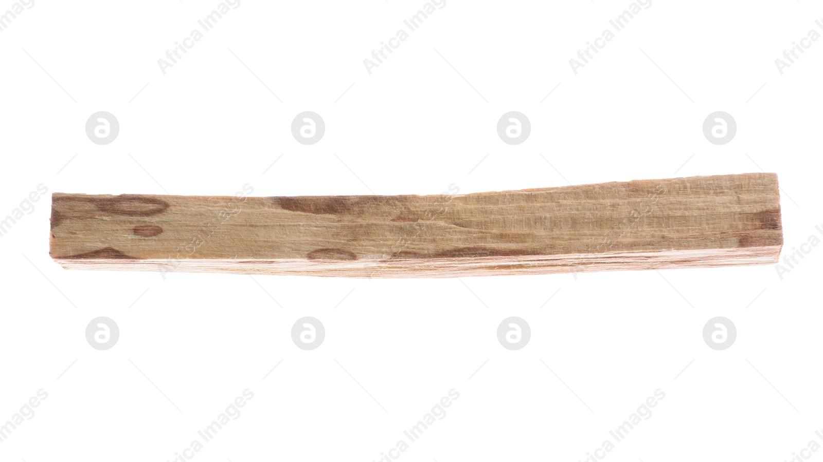 Photo of One palo santo stick on white background