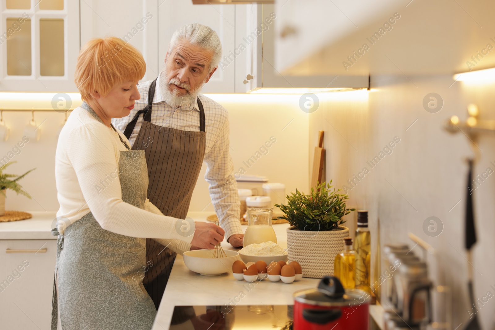 Photo of Senior couple cooking together at counter in kitchen