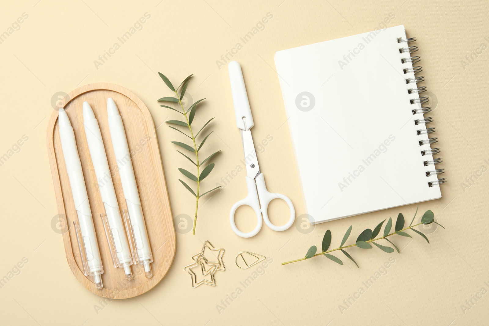 Photo of Paper clips, other different stationery and green twigs on beige background, flat lay