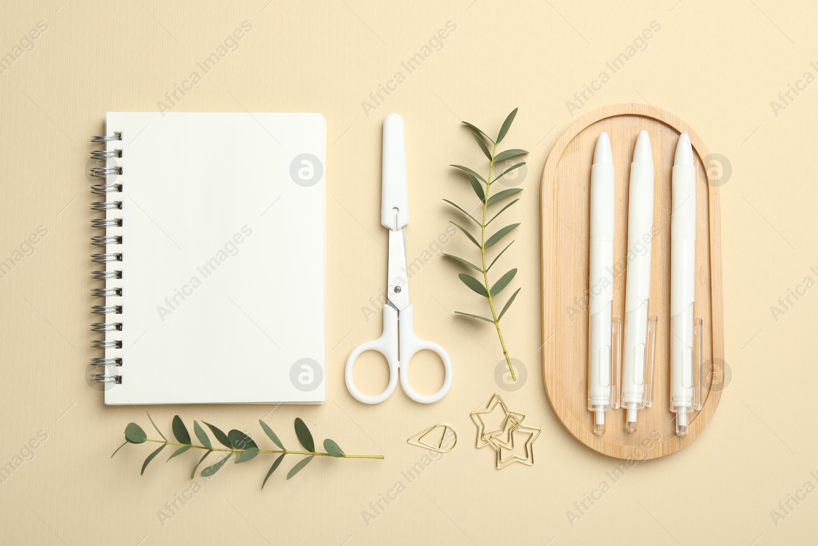 Photo of Paper clips, other different stationery and green twigs on beige background, flat lay