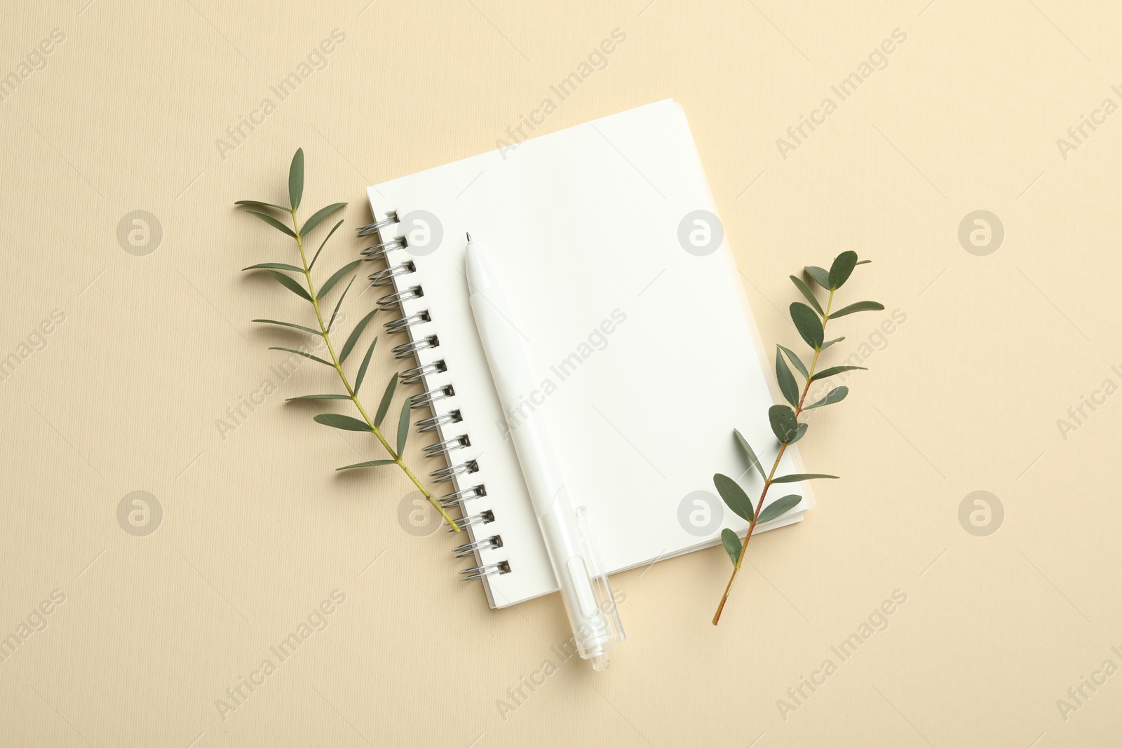 Photo of Notebook, pen and green twigs on beige background, flat lay