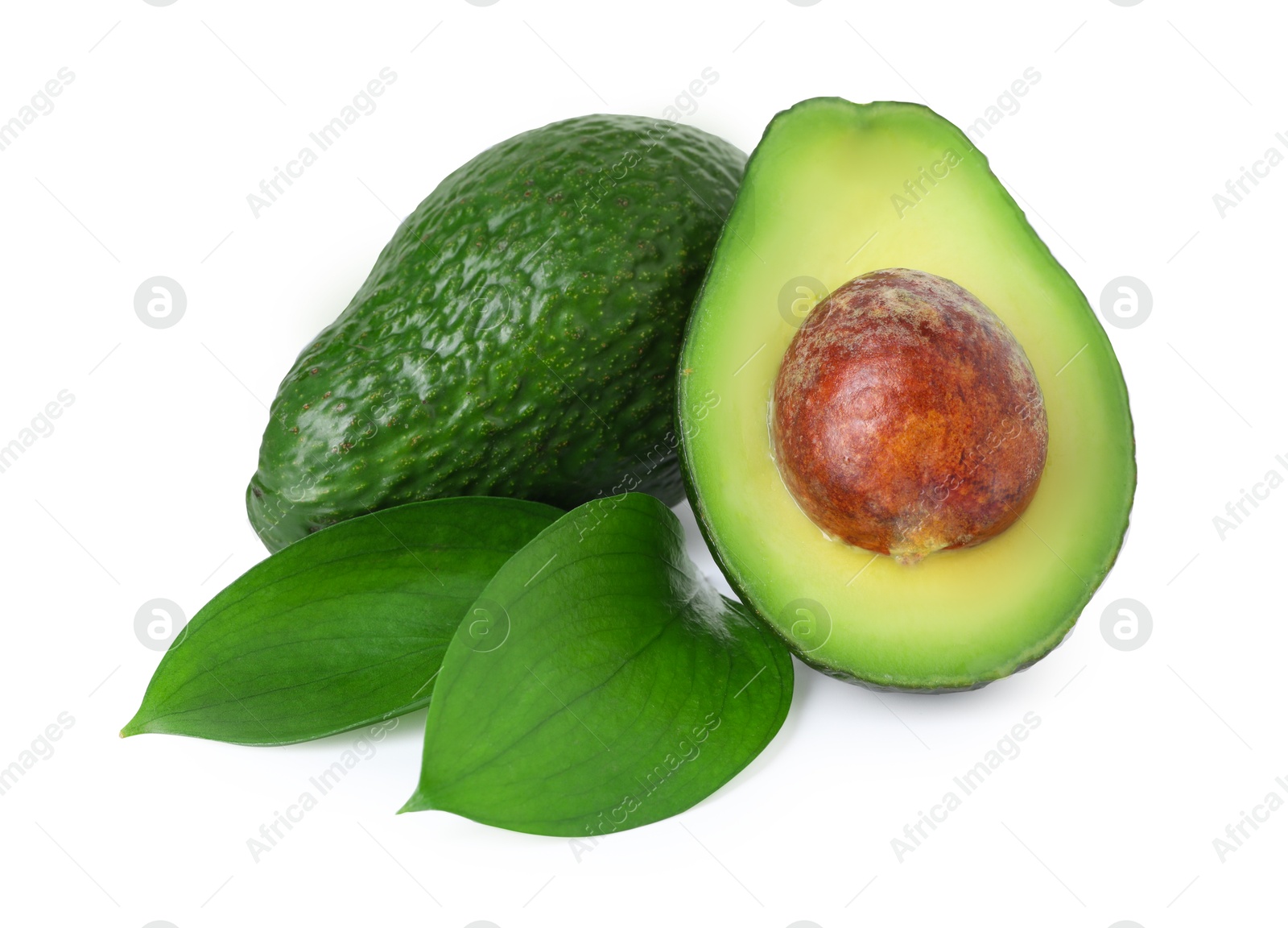 Photo of Whole and cut avocados isolated on white