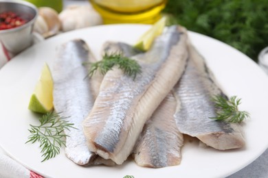 Marinated herring fillets with lime and dill on grey table, closeup