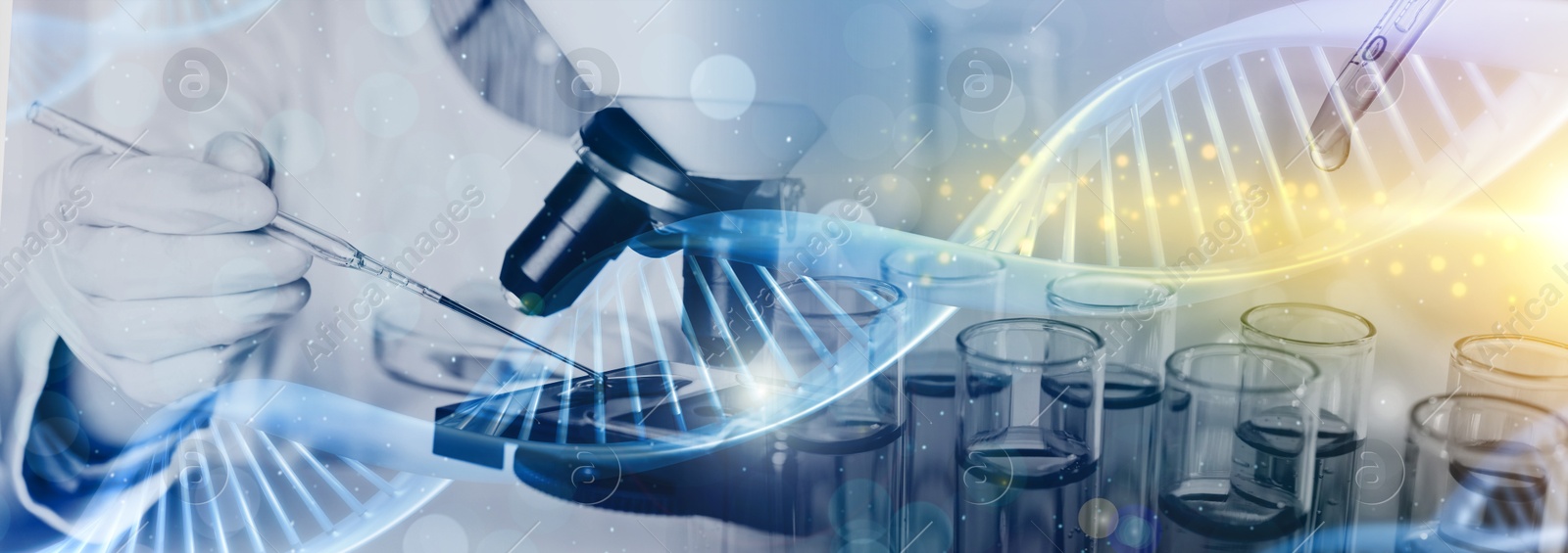 Image of Biochemistry. Scientist working in laboratory, double exposure with test tubes and DNA structure