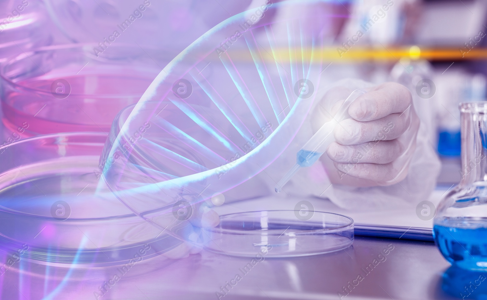 Image of Biochemistry. Scientists working in laboratory, double exposure with Petri dishes and DNA structure