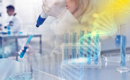 Biochemistry. Scientists working in laboratory, double exposure with test tubes and DNA structure