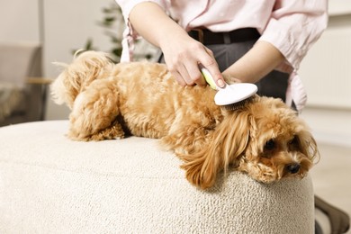 Photo of Woman brushing dog's hair at pouf indoors, closeup. Pet grooming