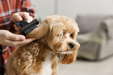 Photo of Woman brushing dog's hair indoors, closeup. Pet grooming