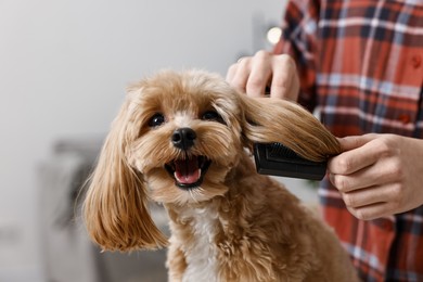 Photo of Woman brushing dog's hair indoors, closeup. Pet grooming