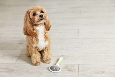 Photo of Cute dog and brush with pet's hair on floor indoors. Space for text