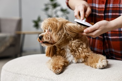 Photo of Woman brushing dog's hair at pouf indoors, closeup. Pet grooming