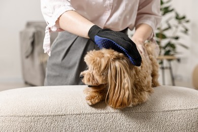 Photo of Woman brushing dog's hair with glove at pouf indoors, closeup. Pet grooming