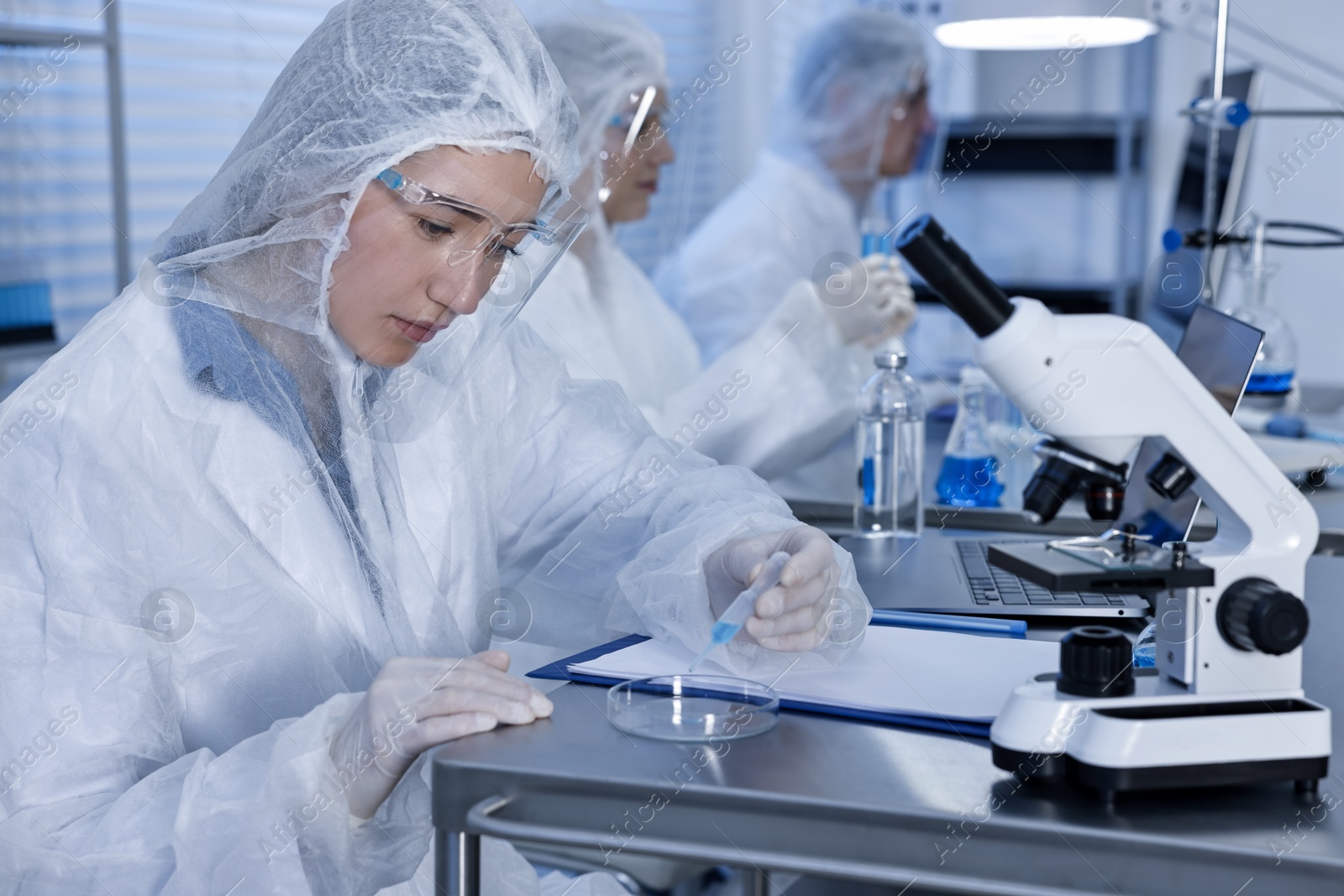 Photo of Scientist dripping sample into Petri dish at table in laboratory